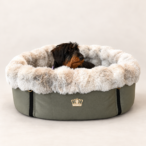 BED to GO