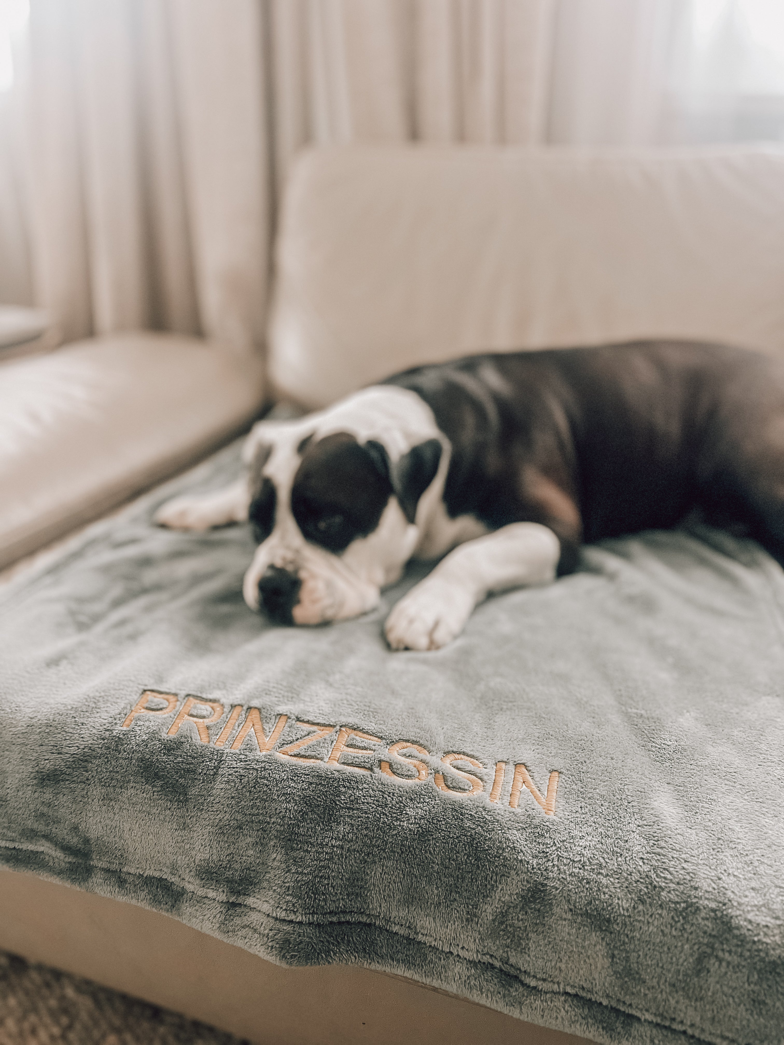 Hundedecke