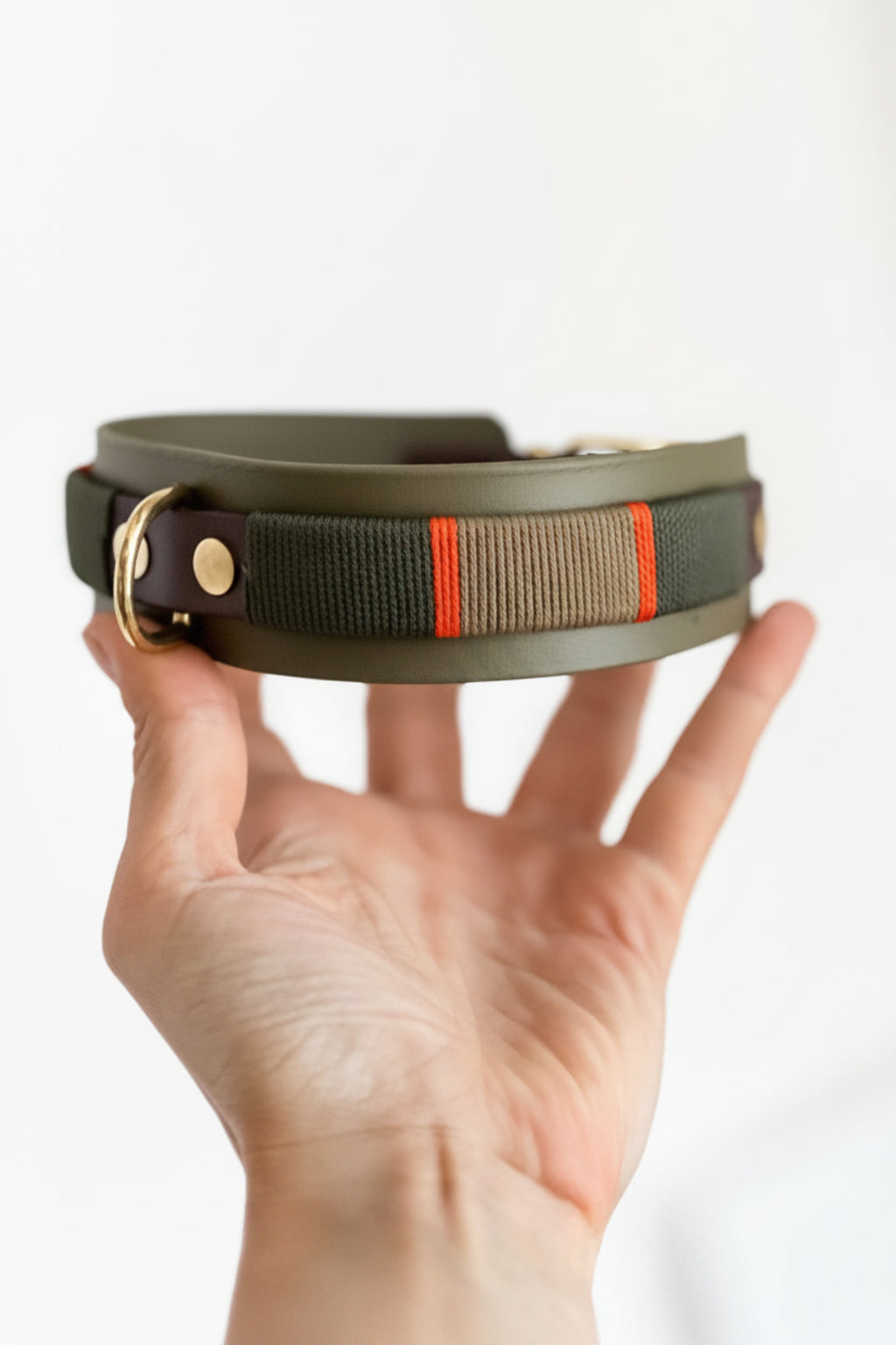 BIOTHANE HALSBAND POSH