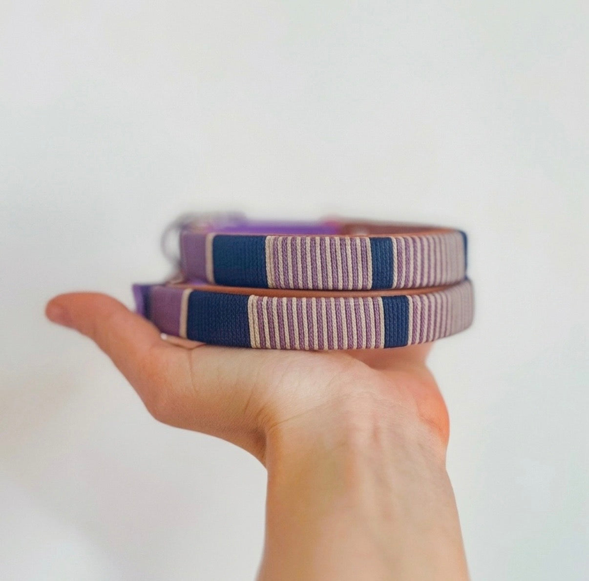 BIOTHANE HALSBAND CLASSY