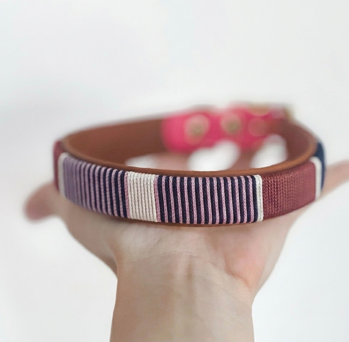 BIOTHANE HALSBAND CLASSY