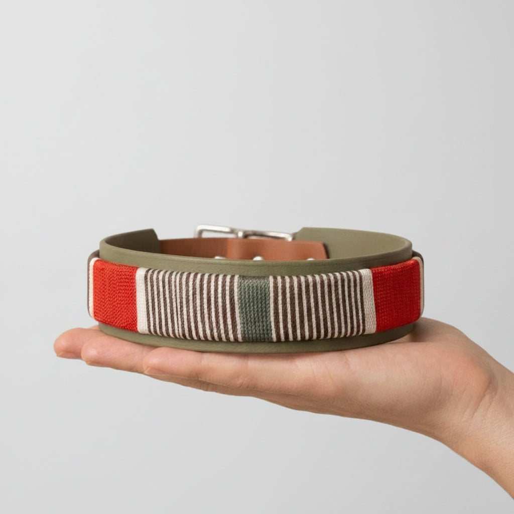 BIOTHANE HALSBAND CLASSY