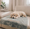 HUNDE KUSCHELDECKE ‘PRINZESSIN'