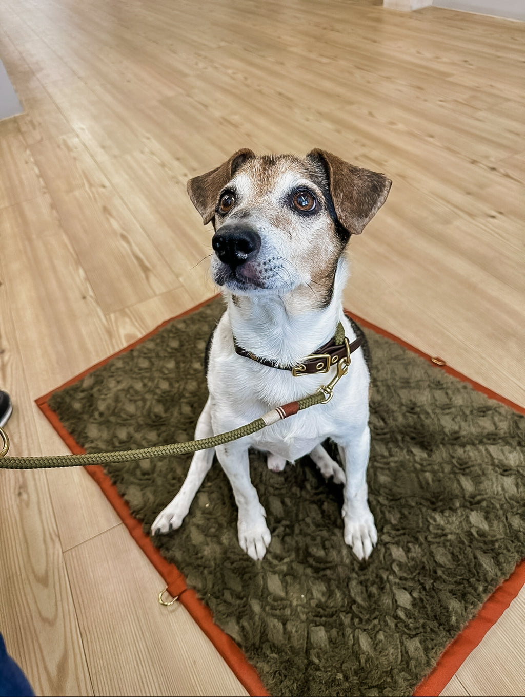 Mat to GO - Möbelstoff